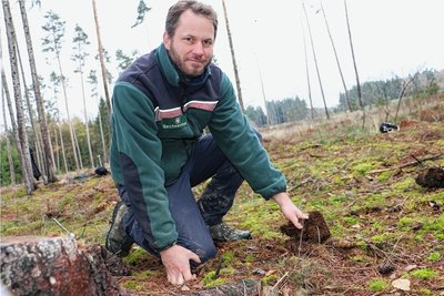 Revierförster Mathias Schmidt zeigt, wo sich die Borkenkäfer im Winter gerne im Waldboden verstecken.