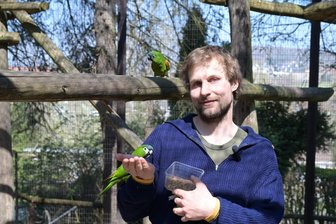 400 tierische Zwerge sind in Aue zuhause - Zootierpfleger Peter Hömke bei den Zwergara, die jetzt zusätzlich täglich Sprech-Unterricht bekommen.