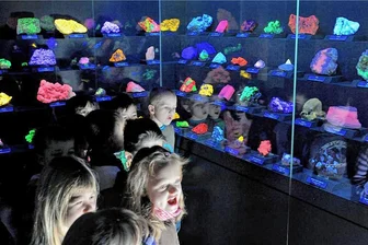 4000 Übernachtungen mehr schon zu Jahresbeginn: Zehn gute Gründe, als Tourist nach Freiberg zu kommen - In der Ausstellung der "Terra Mineralia" im Freiberger Schloss Freudenstein können auch Kinder auf Forschungsreise gehen. 