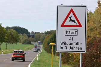 41 Wildunfälle in drei Jahren: Spezielle Warnschilder für B 173 bei Lichtenstein - Eine Sonderform des Schildes „Wildwechsel“ soll für mehr Aufmerksamkeit sorgen.