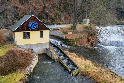 Über eine Fischtreppe am Wasserkraftwerk der Rolle-Mühle können die Fische das Wehr überwinden.