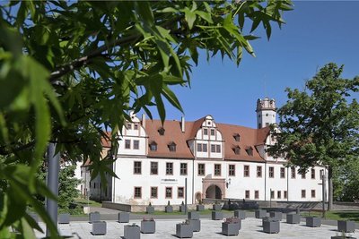 Die Kübel am Glauchauer Schlossvorplatz sind neu bestückt worden. Doch noch sind einige leer.