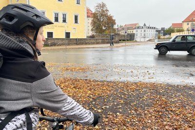 Kommt man aus dem Albertpark und will die Wallstraße zum Schlossplatz überqueren, wartet man mitunter sehr lange. Der Umweg über die nächstgelegene Ampelkreuzung (Dr.-Külz-Straße/Beethovenstraße) ist unbequem.
