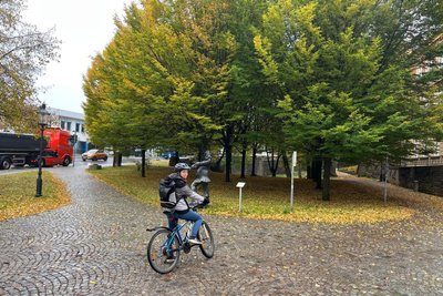 Am Donatsring muss man sich entscheiden: In den dichten Straßenverkehr einordnen oder die Engstelle und das Kopfsteinpflaster an der Stadtmauer in Kauf nehmen.