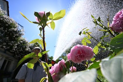 Der Frühling war deutlich trockener als im Schnitt.