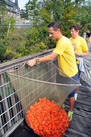 Organisator Daniel Kästner bereitet das Startnetz vor und kippte die Enten an der Stegbrücke in den Fluss.