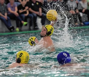 Daniel Oelschlägel (am Ball) und seine Zwickauer Teamkameraden holten am Samstag gegen Magdeburg einen Überraschungspunkt. 