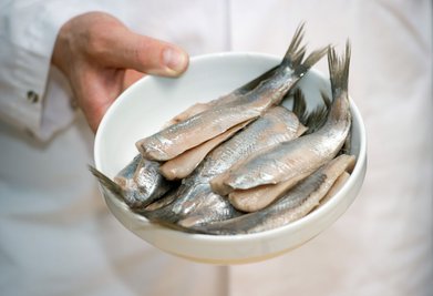 Der naturgereifte holländische Matjes wird häufig als Doppelfilet mit Schwanzflosse angeboten.