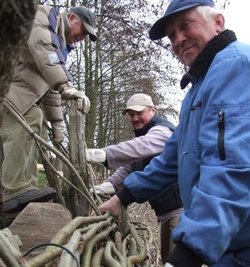 
              <p class="artikelinhalt">Am Großteich werden die Bündel aus Weidenruten eingebaut. </p>
            