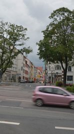 Die Kronen lichten sich: Die beiden Torbäume eingangs der Erbischen Straße leiden unter der Bodenverdichtung. Die Austrocknung wird seit Jahren beobachtet. Noch bleibt beiden aber die Säge erspart.