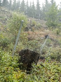 Der Fangzaun hat den Brocken von der Straße ferngehalten.