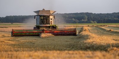 Die Erntezeit kann für Rehkitze gefährlich werden. 