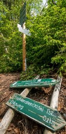 Alte und neue Wegweiser am Stößerfelsenweg, Abzweig zum Erikaweg und zum Sophienstein. 