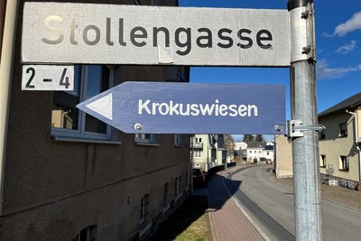 Die Krokuswiesen in Drebach sind bereits ausgeschildert. Im Dorf rechnet man auch mit einer früheren Krokusblüte.