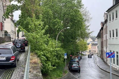 Die Stadt Oelsnitz lässt den Zustand der Bäume an der Grabenstraße (rechts) untersuchen.