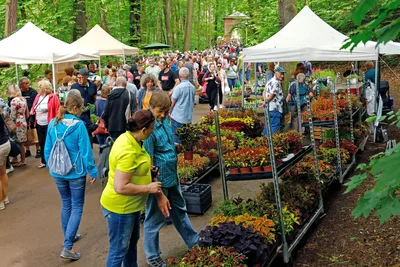 Der Basilikum-Markt in Waldenburg ist ein Besuchermagnet. Am Sonntag gibt es wieder die Chance zum Einkaufsbummel im Grünen.