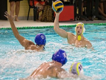 Alpar Soltesz (am Ball), wie ihn viele Plauener kennen. 2015 kam er wegen des Wasserballs nach Deutschland und spielt seitdem für den SVV Plauen, jetzt wieder in der 1. Liga. Das Foto stammt aus dem Spiel gegen Poseidon/Rhenania Köln, das die Plauener am 29. Oktober knapp mit 11:12 verloren.