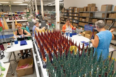 In den Produkten von Nestler Ehrenfriedersdorf, darunter auch die kunterbunten Zuckertüten in allen Größen, stecken jede Menge Handarbeit – hier Kathrin Grunert, Evelin Dümke, Heide Lorenz und Ramona Ehrhardt (v. l.). Zwei Millionen Schultüten werden in diesem Jahr wieder gefertigt.
