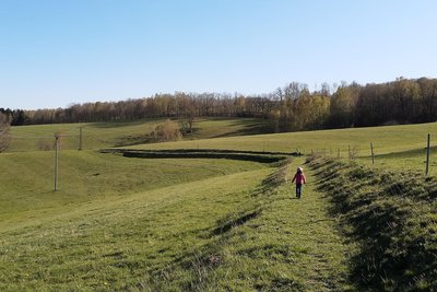 Grün: Auf diesem Weideland in Berthelsdorf will ein Investor einen Solarpark bauen.