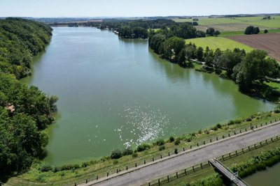 Das Gesundheitsamt des Landkreises warnt aktuell vor der Entwicklung von Blau- und Grünalgen in der Kober und rät vom Baden ab. Die Sichttiefe beträgt nur 80 Zentimeter.