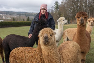 Sandra Werner und ihre Herde sind bereit für die Alpaka-Wiesentage. Genuss und Kreativität spielen dort ebenso eine Rolle wie das Alpaka-Streicheln.