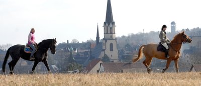 Beliebt bei Reitern des Burgstädter Vereins St. Georg ist ein Ausritt in freier Natur (im Hintergrund die Stadtkirche und der Taurasteinturm, rechts). Unweit des Vereinsgeländes befindet sich der Mühlauer Forst, ein Teil der dortigen Reitwege soll nach den Plänen des Besitzers verschwinden.