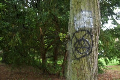 Auch ein Baum in unmittelbarer Nähe des Pavillons im Albertpark Freiberg wurde beschmiert.