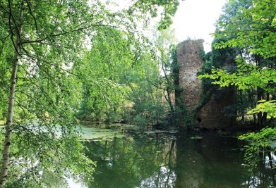 Der Rest des Mechelgrüner Wasserschlosses. Im März des vergangenen Jahres war der Westturm in den Schlossteich gestürzt. Damit ging ein Teil dieses aus dem 14. Jahrhundert stammenden Denkmals unwiederbringlich verloren.