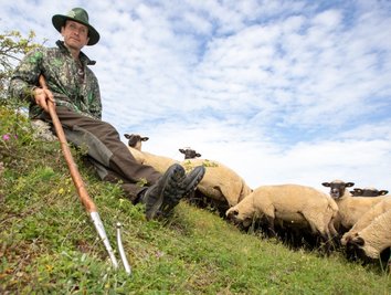 Der Beruf ist sein Leben: Schäfer Michael Ulsamer mit seinem Schäferstab und den Schafen im Naturschutzgebiet Großer Weidenteich. Er trägt die Verantwortung für 600 Schafe. Dabei handelt es sich um Tiere aus der Rasse des Deutschen schwarzköpfigen Fleischschafes. 