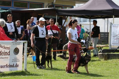 Einmarsch zur Siegerehrung bei der Deutsche Meisterschaft im Schutzhundesport in Lugau.