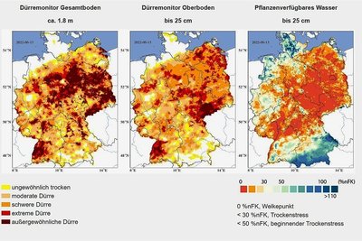 So trocken ist es aktuell in Deutschland und Sachsen: Daten aus dem Dürremonitor des Helmholtz-Zentrums für Umweltforschung in Leipzig vom 13. Juni 2022 zeigen, wie wenig Feuchtigkeit im Boden ist - besonders in Südwestsachsen