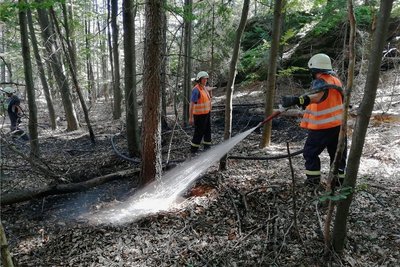 Mitglieder der Freiwilligen Feuerwehr Gleisberg löschen den Waldbrand am Kleinen Winterberg. Foto: Eric Lange/FFW Gleisberg