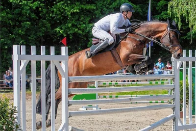 Dominik Jahn vom RV Greppin gewann auf Carli das Barrierenspringen am Sonntag. Im vergangenen Jahr triumphierte er bereits beim Großen Preis zum Schluss des Turnierwochenendes. Dort qualifizierte sich der Titelverteidiger diesmal nicht für die Siegerrunde der besten Sechs. 