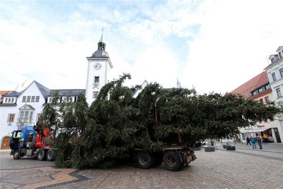 Eine knappe Stunde dauerte die Fahrt, bis der Christbaum auf dem Obermarkt in Freiberg angekommen war.
