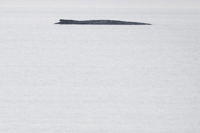 Der Buckelwal liegt weiterhin vor der Insel Poel. Laut Mecklenburg-Vorpommerns Umweltministerium ist die Lage unverändert. Der kranke und geschwächte Wal liegt bereits seit 16 Tagen auf dieser Stelle.