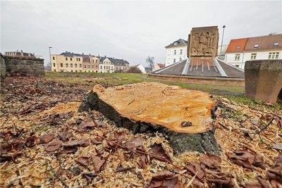 Auch der Weberbrunnen ist von der Umgestaltung betroffen.