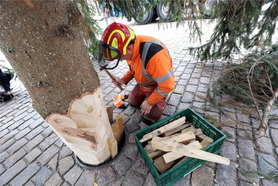 Kaum dass der Christbaum gerade an seinem Platz steht, wird er von Tim Uhlig verkeilt.