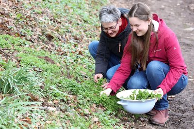 Wildkräuter finden Kenner praktisch überall am Wegesrand. Diana Hößelbarth (links) und Tatjana Franz hatten bei ihrer Ernte in Frankenhausen schnell Erfolg.