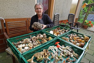 Am Donnerstag hat Werner Stolpe 70 Arten gesammelt. Dazu gehören auch ungenießbare und giftige Arten.