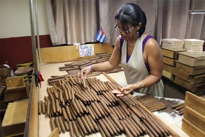 Eine Mitarbeiterin ordnet in der Fabrik La Corona in Havanna (Kuba) Zigarren nach Größe und Qualität.
