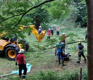 Mithilfe eines Teleskopladers wurde das Tier aus seiner misslichen Lage befreit. Ein Tierarzt hatte das Deutsche Reitpony ruhiggestellt. Nach rund drei Stunden war der Einsatz beendet. 