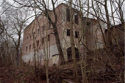 Die "Alte Brauerei" in Frankfurt (Oder) genießt von öffentlicher Seite mehr Aufmerksamkeit als es von außen den Anschein hat. Sie ist ein urbanes Naturschutzgebiet. 