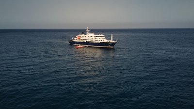 Der Ausbruch des Hantavirus auf einem Kreuzfahrtschiff hat internationale Folgen. 