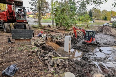 Der Teich am Eingangsbereich des Glauchauer Tiergeheges wird auf Vordermann gebracht.
