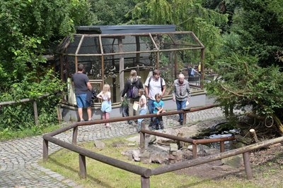 Auf viele Besucher hofft der Zoo der Minis in Aue in den Herbstferien.