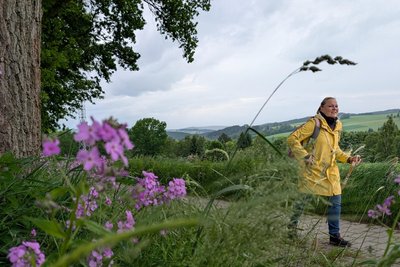 Die Wanderung um den Scheibenberg birgt viele reizvolle Abschnitte.