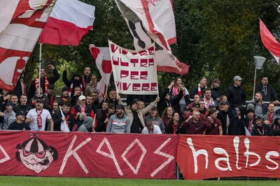 Die Fans des FSV Zwickau sangen fast das komplette Spiel über durch und sorgten damit dafür, dass das Pokalspiel ein Fußballfest wurde.