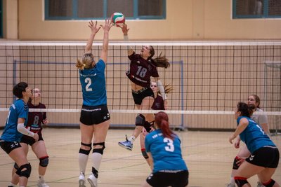 Starke Auftritte: Die SSV-Damen um Suki Pfeiffer bezwangen am Sonnabend nicht nur Schlusslicht Schildau mit 3:2, sondern überraschten auch den Tabellenzweiten aus Leipzig und verbuchten insgesamt 4 Punkte auf ihrem Konto.