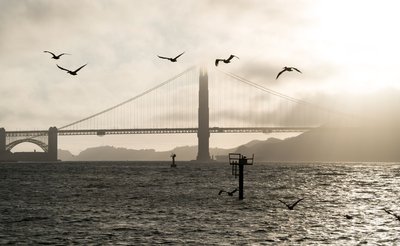 Eine der berühmtesten Brücken der Welt - auch wegen ihrer besonderen Ästhetik: Die Golden Gate Bridge überspannt seit 1937 die Bucht von San Francisco. 