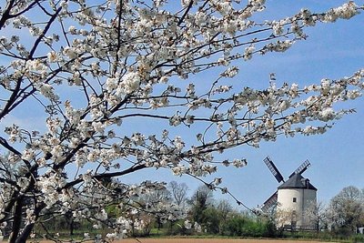Die einzige Windmühle im Vogtland startet am Ostermontag in die Saison.